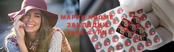 индика Белокуриха