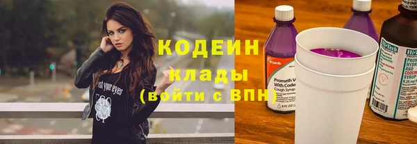 индика Белокуриха