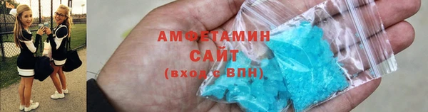 индика Белокуриха