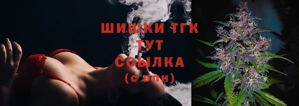 индика Белокуриха