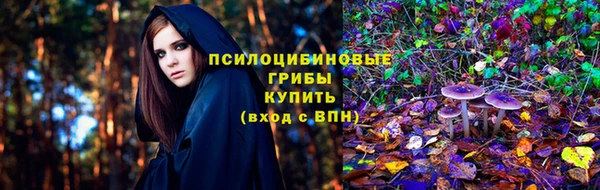 винт Беломорск