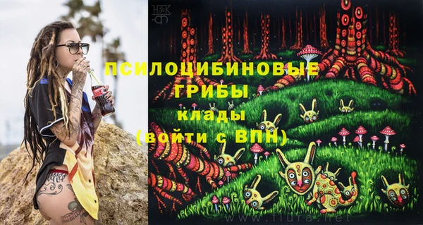 винт Беломорск