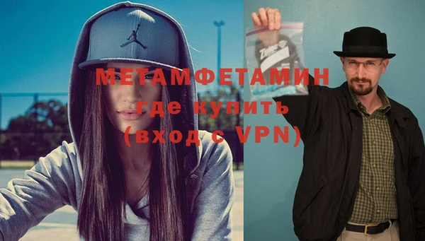 индика Белокуриха