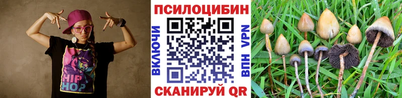 Псилоцибиновые грибы мицелий  Рубцовск 